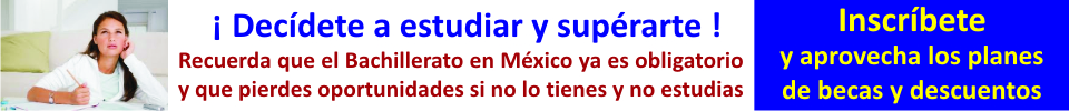 descripci�n 3