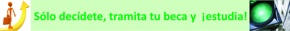descripci?n 5